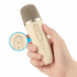 K12 Portable Karaoke Machine – Bluetooth 5.3 PA Speaker with Wireless Mics for Home & Kids